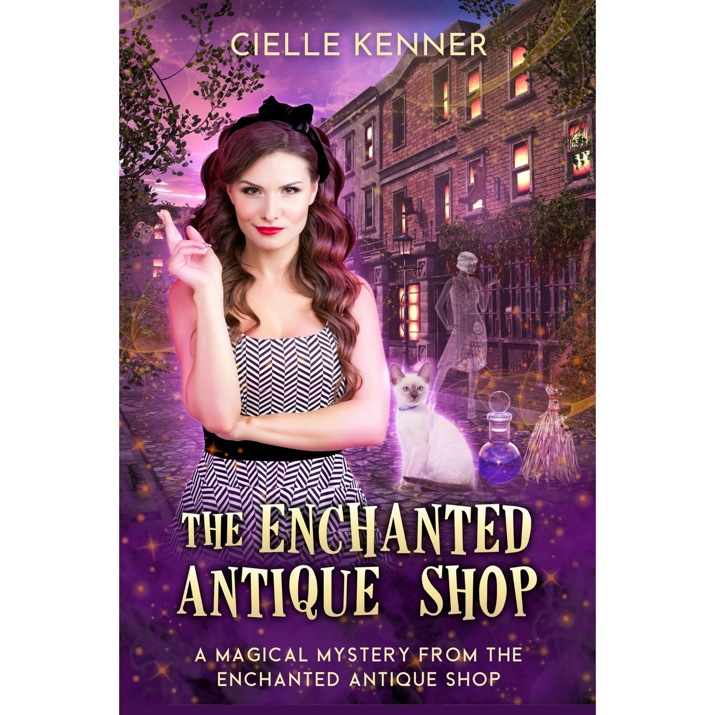 The Enchanted Antique Shop